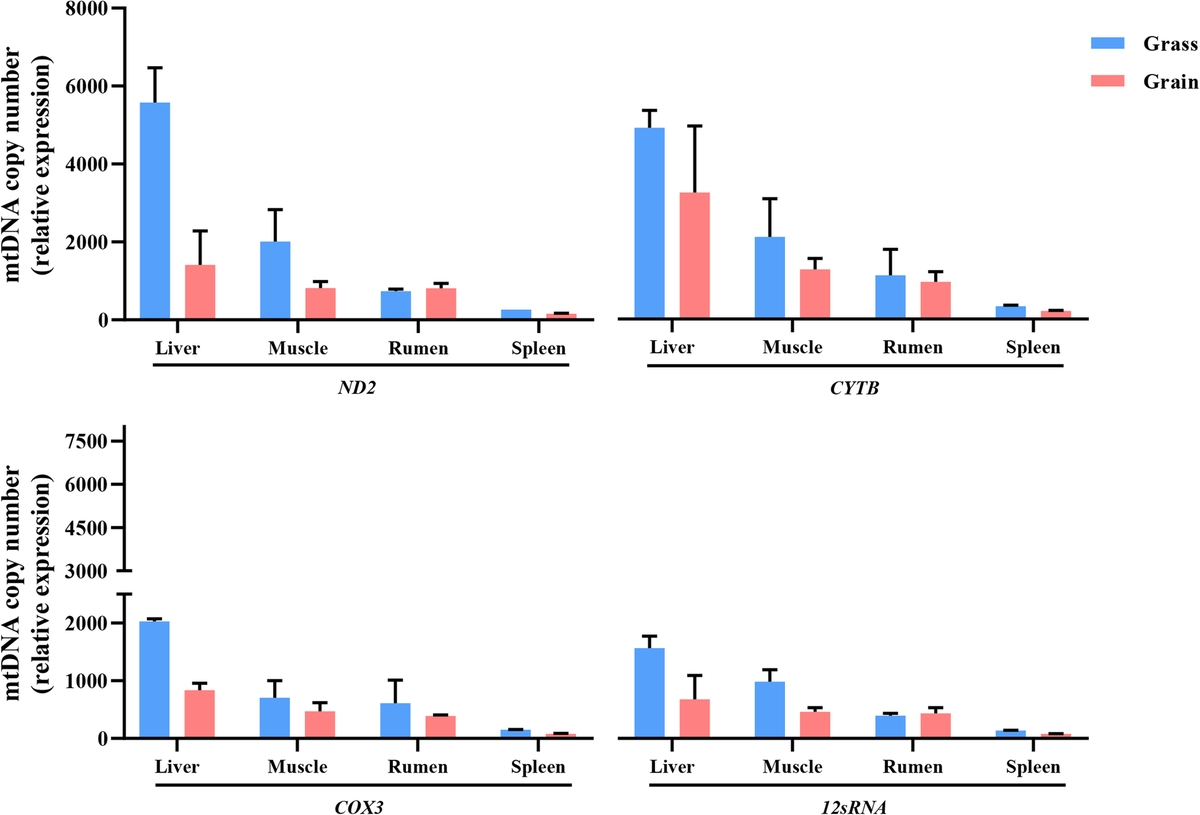 ensembl's tweet photo. Did you know that #diet type (grass vs grain) induces the change of #mtDNA copy number and #metabolism in Angus #cattle? 🐂🐄
@JASB16256935 @BioMedCentral
https://t.co/LSaTzZNz4C
#UsingEnsembl #UsingBioMart #BioMart https://t.co/lJKFy6oGNB