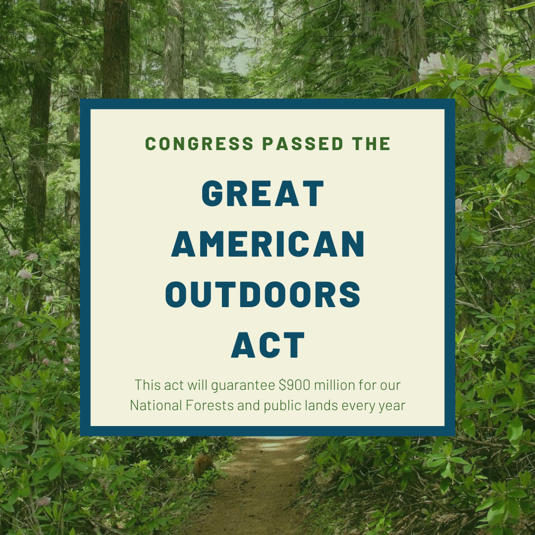 NationalForests's tweet photo. This morning, the Great American Outdoors Act was passed! 🌲❤️Funding from the act will provide financial support for the 193-million-acre National Forest System. https://t.co/7AWefirjx3