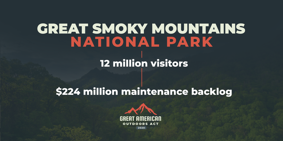 Rep. Tim Burchett Press Office tweet media