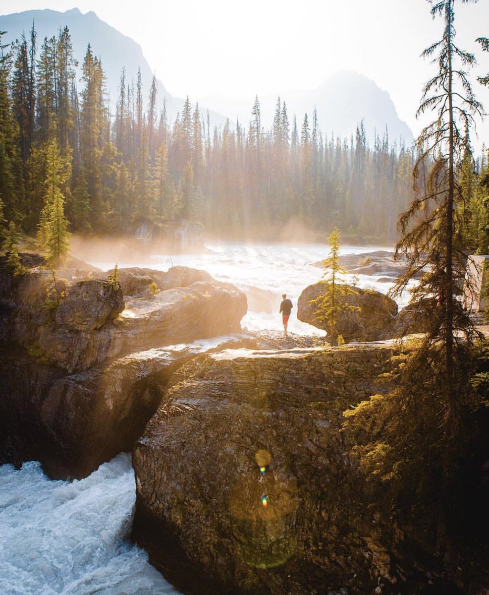 coffee_n_mtns's tweet photo. Yoho National Park https://t.co/4sts0cxcIU