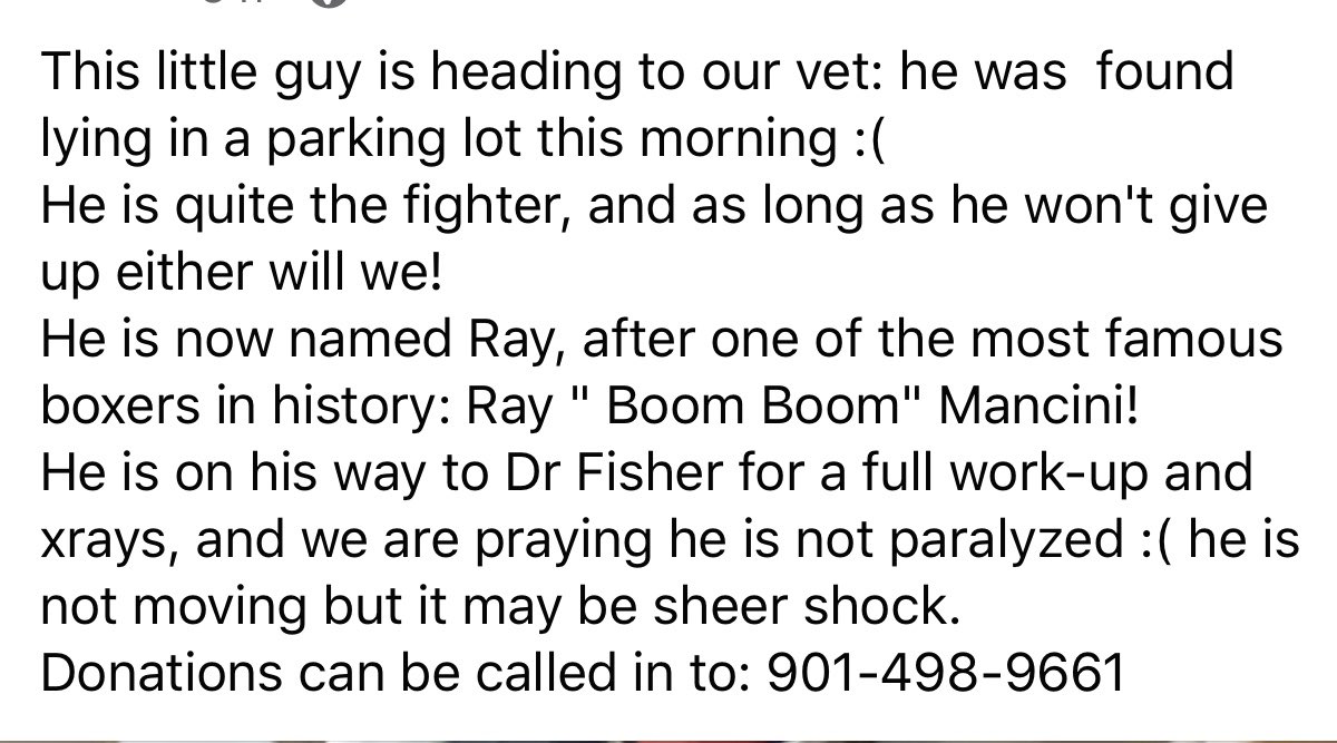 reddogsusie's tweet photo. LOVELL IS SAFELY AT THE VETS!
Thanks to Tails of Hope Rescue-Pls read update-renamed Ray!
Pledge/donations to :
Donations can be called in to: 901-498-9661 Dr Fischer
Pls ref: Ray/Tails of Hope
Or PayPal:tailsofhopedr@yahoo.com
Pls ref: Ray #MASA293
TY!
https://t.co/tEzys5hYYo https://t.co/in9MtfjlZ2