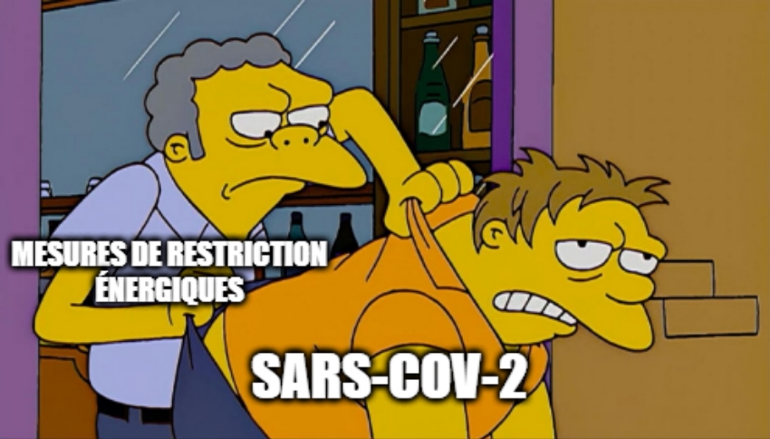 51. Bref, quand le gouvernement aura fini sa sieste estivale, qu'il n'hésite pas à intervenir pour interrompre le bouillon de culture en cours qui re-sème du virus partout en France.Le confinement local fonctionne quand la flambée est locale. Si ça crame partout, eh bien…