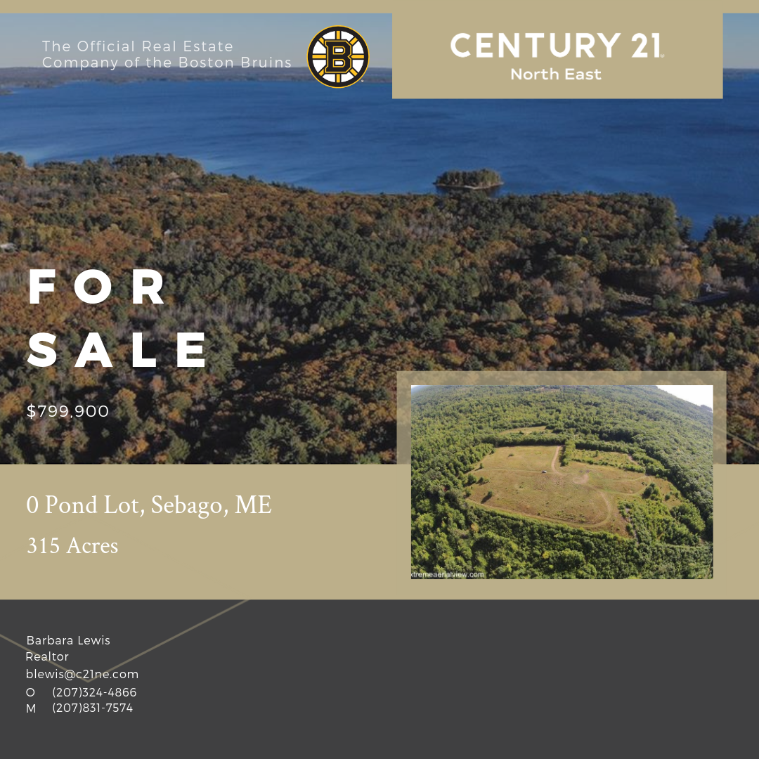 Barbara Lewis tweet media