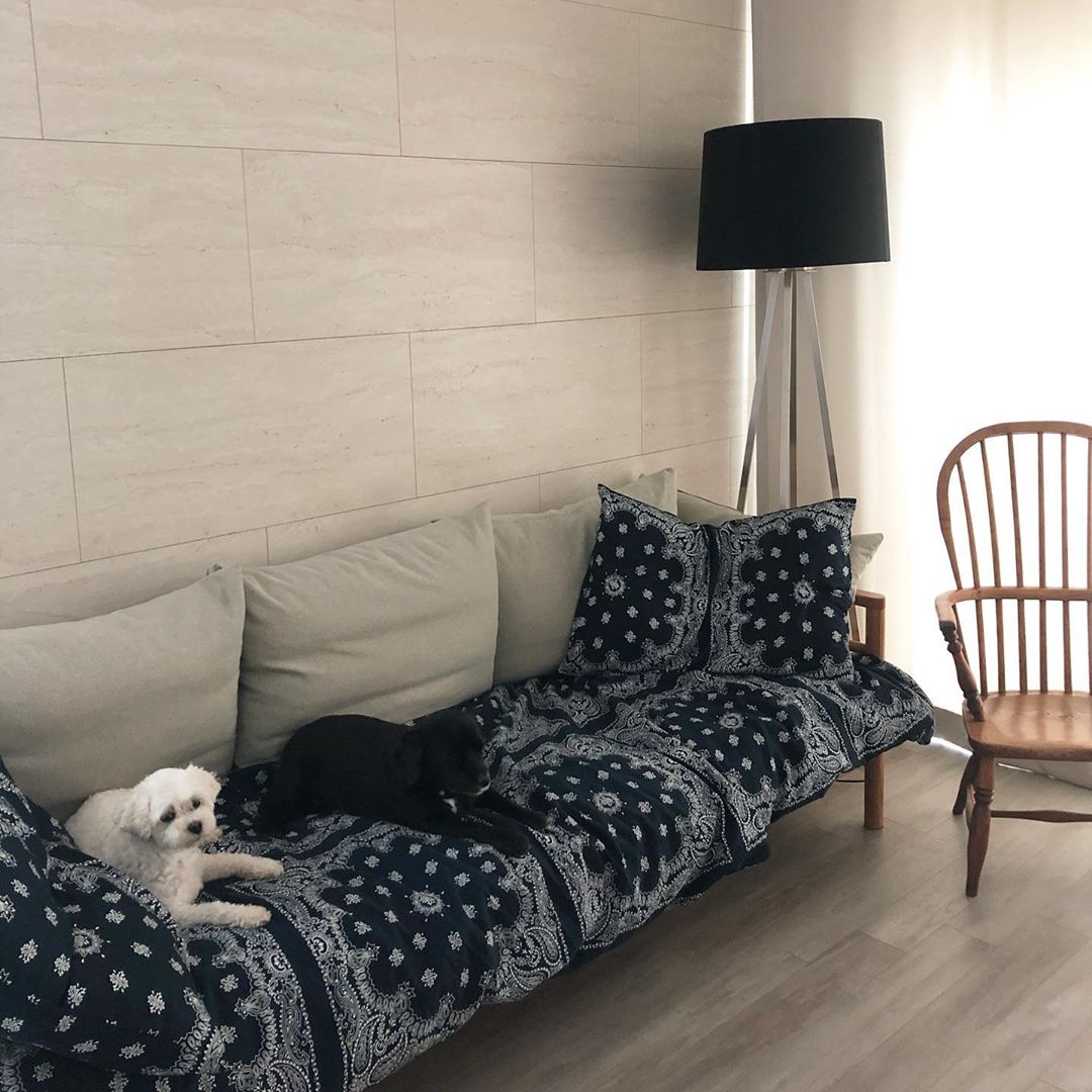 fyeahbeg's tweet photo. 200804 jea update
↳ translation © fy! beg

welcoming faces (feat.bandal,mongshil) this is the sofa where my babies seem to be stuck together

💫 @officialBEG #BrownEyedGirls #브라운아이드걸스 #브아걸
💫 @Jeaworld #jea #제아 https://t.co/Cd8IFZfAsP