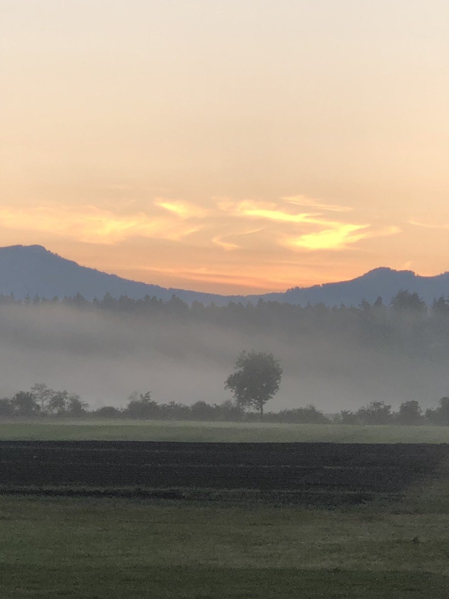 YvonneMarti tweet media