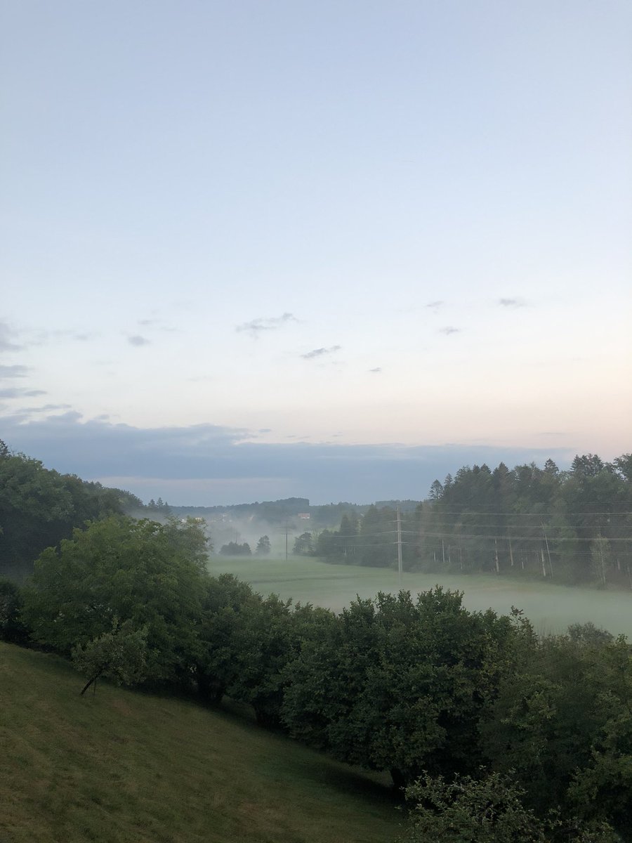 YvonneMarti tweet media