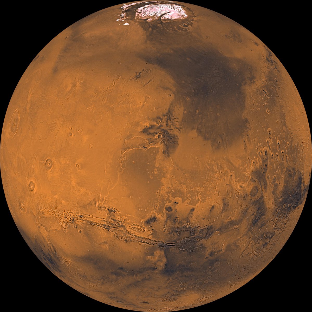 UniverCurious's tweet photo. Planet Mars In High Resolution.

Credit: NASA/JPL https://t.co/8cr41FfYs9