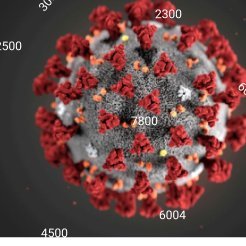 olamidevibe's tweet image. 2020😭😭😭.God please Pray for us🛐🙏🙏.

#Prayfor2020
#COVID19 
#GeorgeFloyd
#SouthernKadunaMassacre 
#prayforbeirut 
#PrayForLebanon