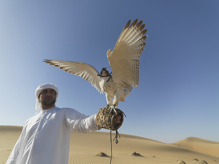Where2NextT's tweet photo. Originating in the Arabian Peninsula, the sport of falconry began as a means to obtain food. Migrating birds were captured by falconers &amp; trained as skilled predators.

#DubaiCulture #BookNowForNextYear #DestinationDubai #Where2NextTravelLLC #LuxuryTravel #GetYourPassportReady🛂 https://t.co/7Q43a3Lbmq
