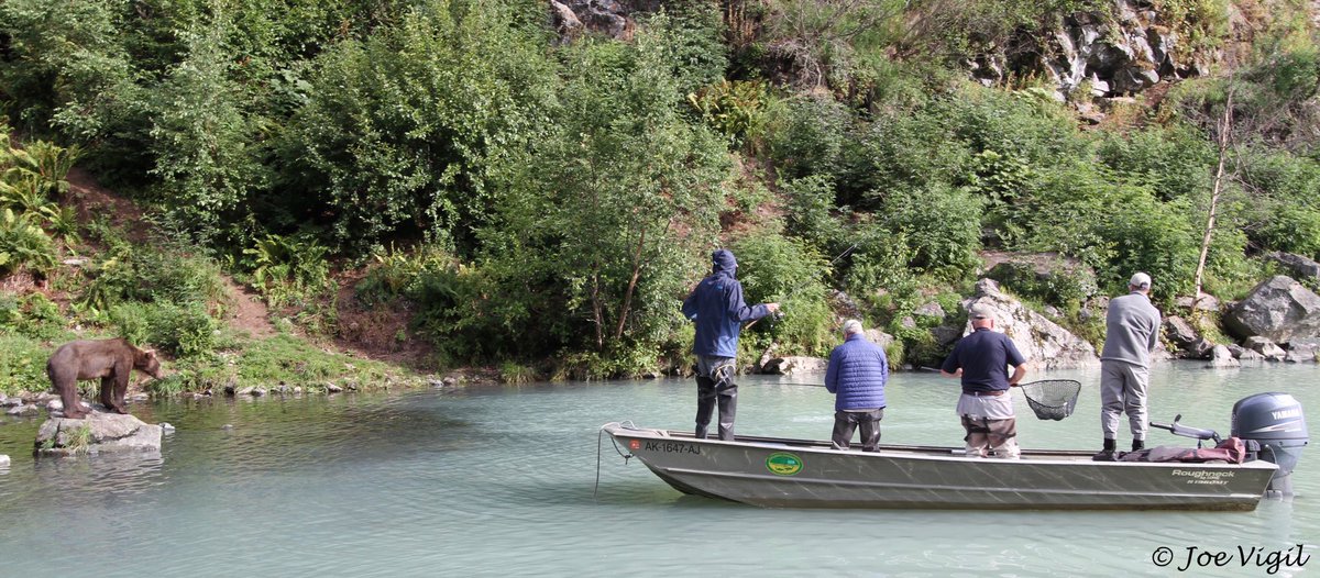 JoeVigil's tweet photo. āI wonder why itās so easy for those weird things in the water to catch fish. And they wonāt share!ā Big River Lake/Wolverine Creek, Alaska. #bears #salmon #brownbears #alaska #alaskabears https://t.co/klcbqyKO8Y