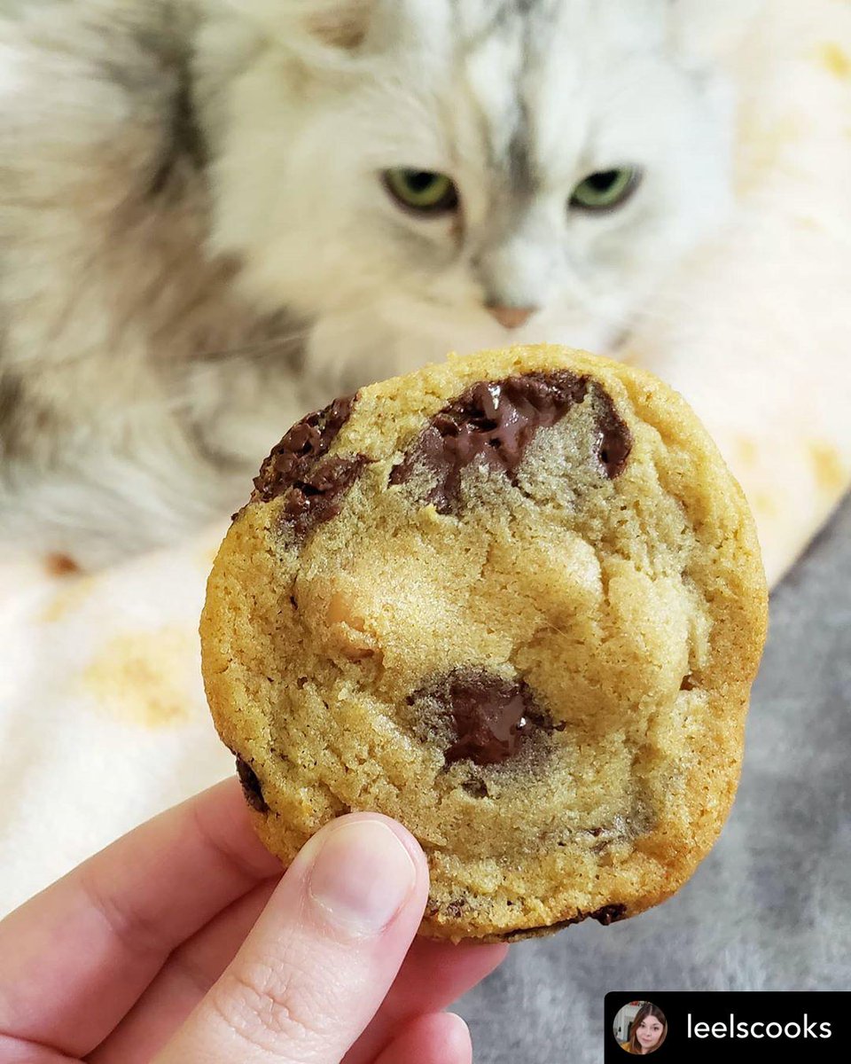 Celebrate #NationalChocolateChipCookieDay with Chef Francisco's Chocolate Chip Macadamia Nut Cookies. Find them freshly baked on our new Xpress menu, pick up pre-portioned cookie dough from k•mart, or end your meal at kō•än with a plate. 🙌

#CookieEnvy 📷 by <a href="/leelscooks/">Leels</a>