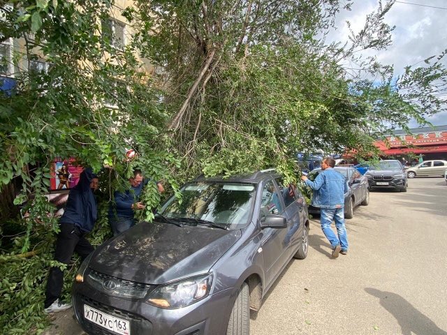 krasnay5's tweet photo. Спустя полтора месяца после обращений ветки деревьев начали падать вновь! В этот раз пострадал транспорт. @kgkhsyzran  мы в курсе, что вы поручили выполнить обрезку деревьев @Zus63R, ссылаясь на данные кадастровой карты. Копию письма @Shmalko_AI нам предоставили для ... https://t.co/YmTWWJ3Ute