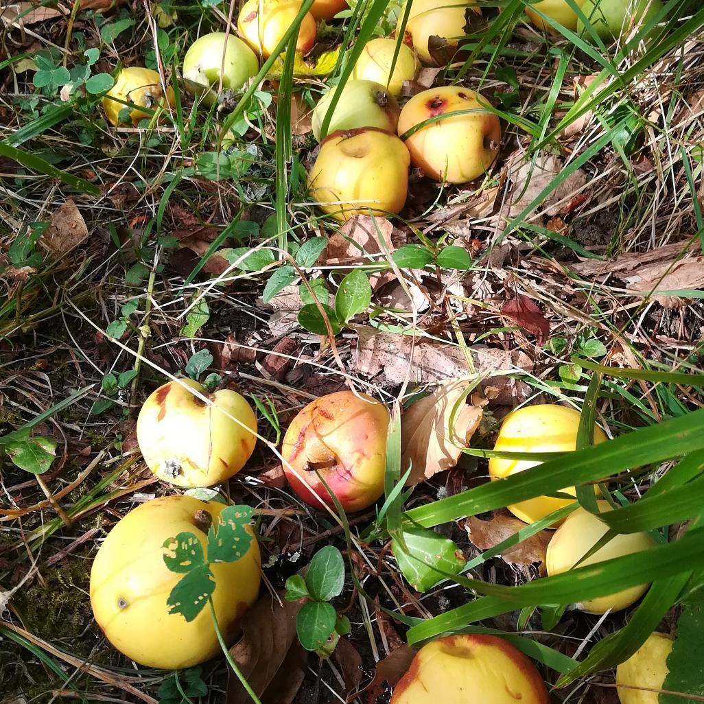 Bibliogîte en Périgord 📚🏊🌳 tweet media