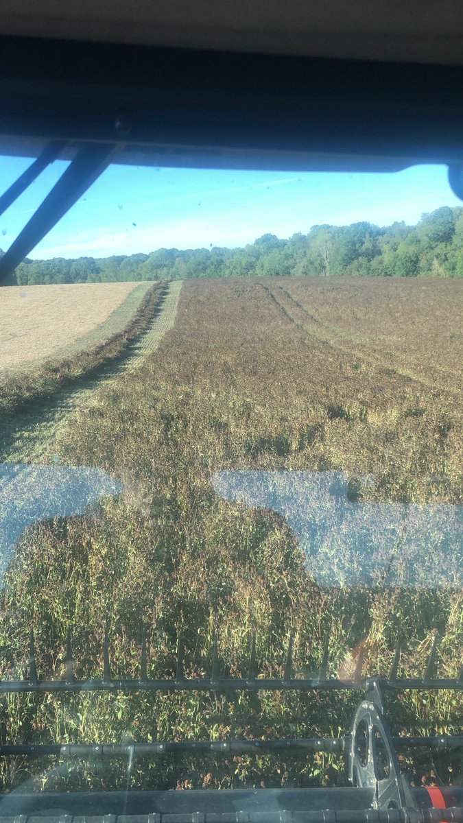 Repos des guerriers pour certains, mais pour d'autres : la moisson est loin d'être terminée ! Trèfle violet porte-graine avec SFP <a href="/noriapcoop/">noriap</a> <a href="/adupuy60d/">Adrien Dupuy</a>
Démarrage de campagne 💪