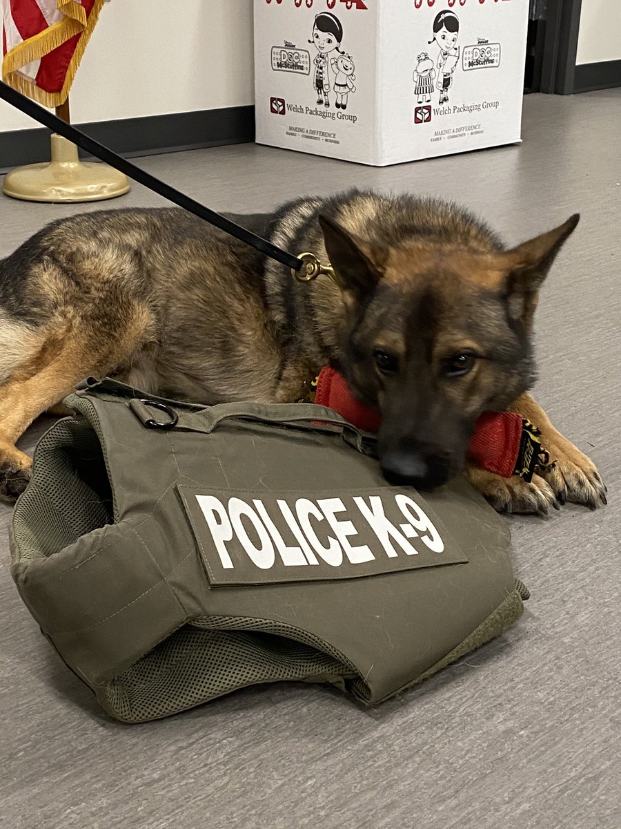 Even though @LivePdFans @LivePDNation isn’t on we did our part to support the boys in blue..@danabrams say hello to Lobo and his new vest! #mountpleasantsc #k9officer