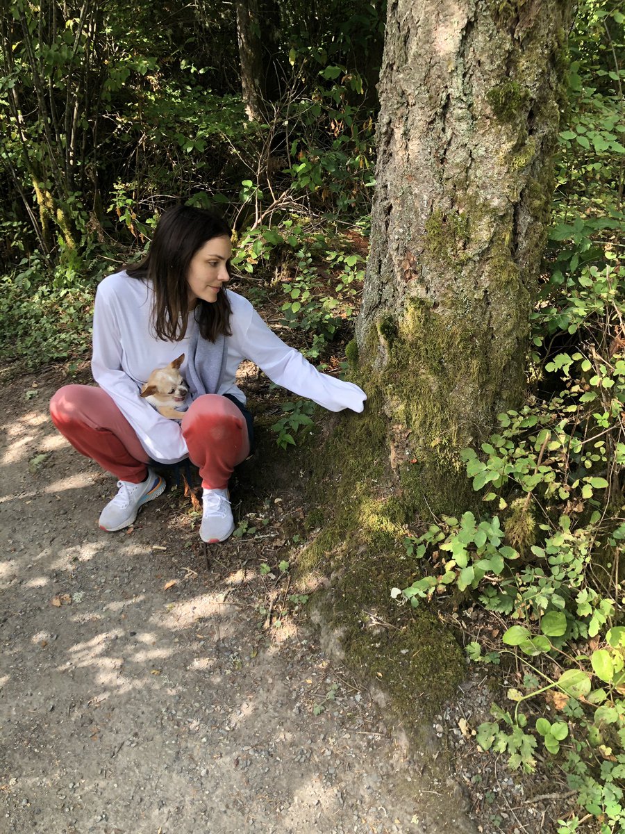 katharinemcphee's tweet image. *listens to folklore once*