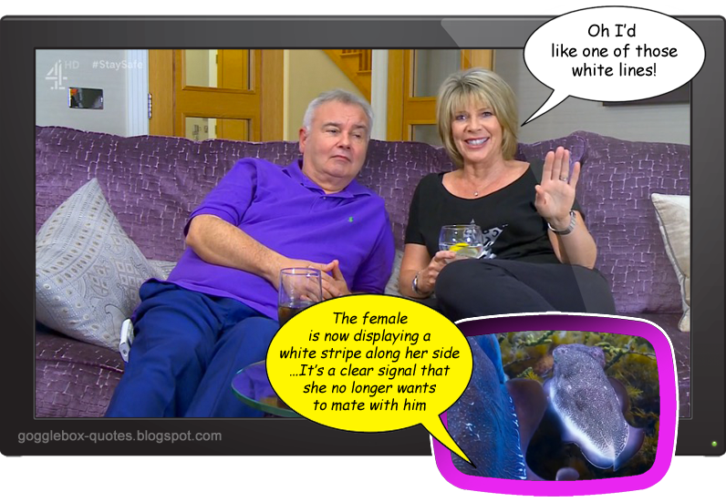 Gogglebox-Quotes tweet media