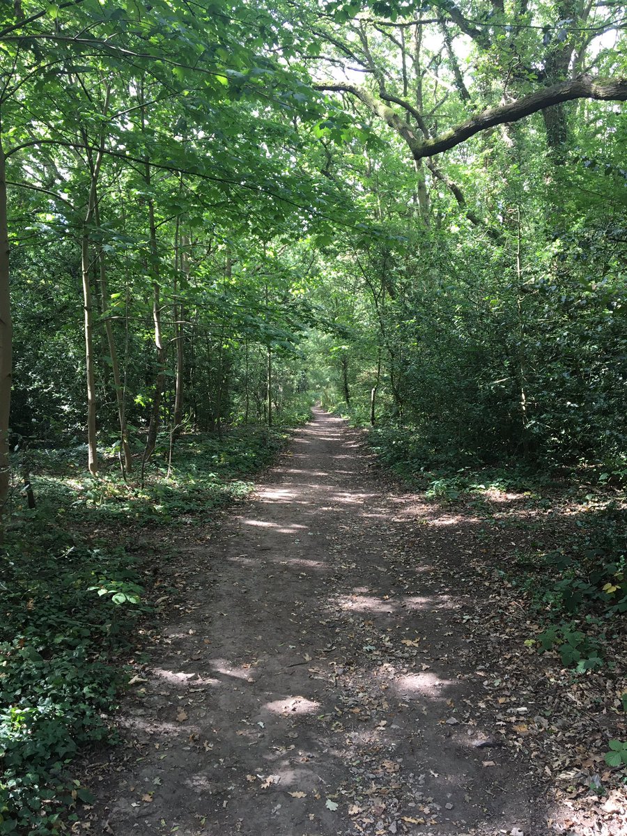 Christeen_town's tweet photo. Rambling around #littleburstead #billericay #essex. Wonderful walk through different landscapes. Enjoying #staycation https://t.co/30ScZzxutu