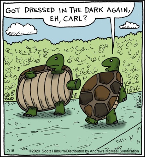 Turtle jokes, uit 61% grote reductie - www.infoodfamily.com