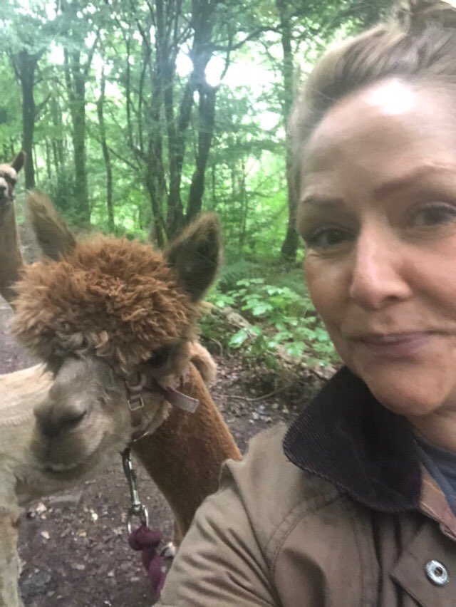 Mashcat's tweet photo. I had the best morning @Holly_Hagg with Teddy today #alpaca #Sheffield https://t.co/ai2FJWbZEm