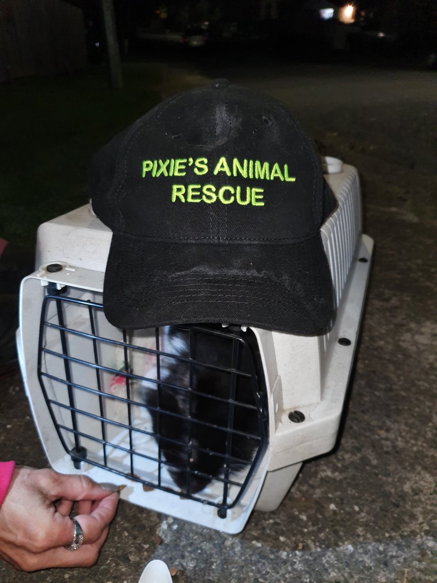 Pixies Animal Rescue Trust tweet media