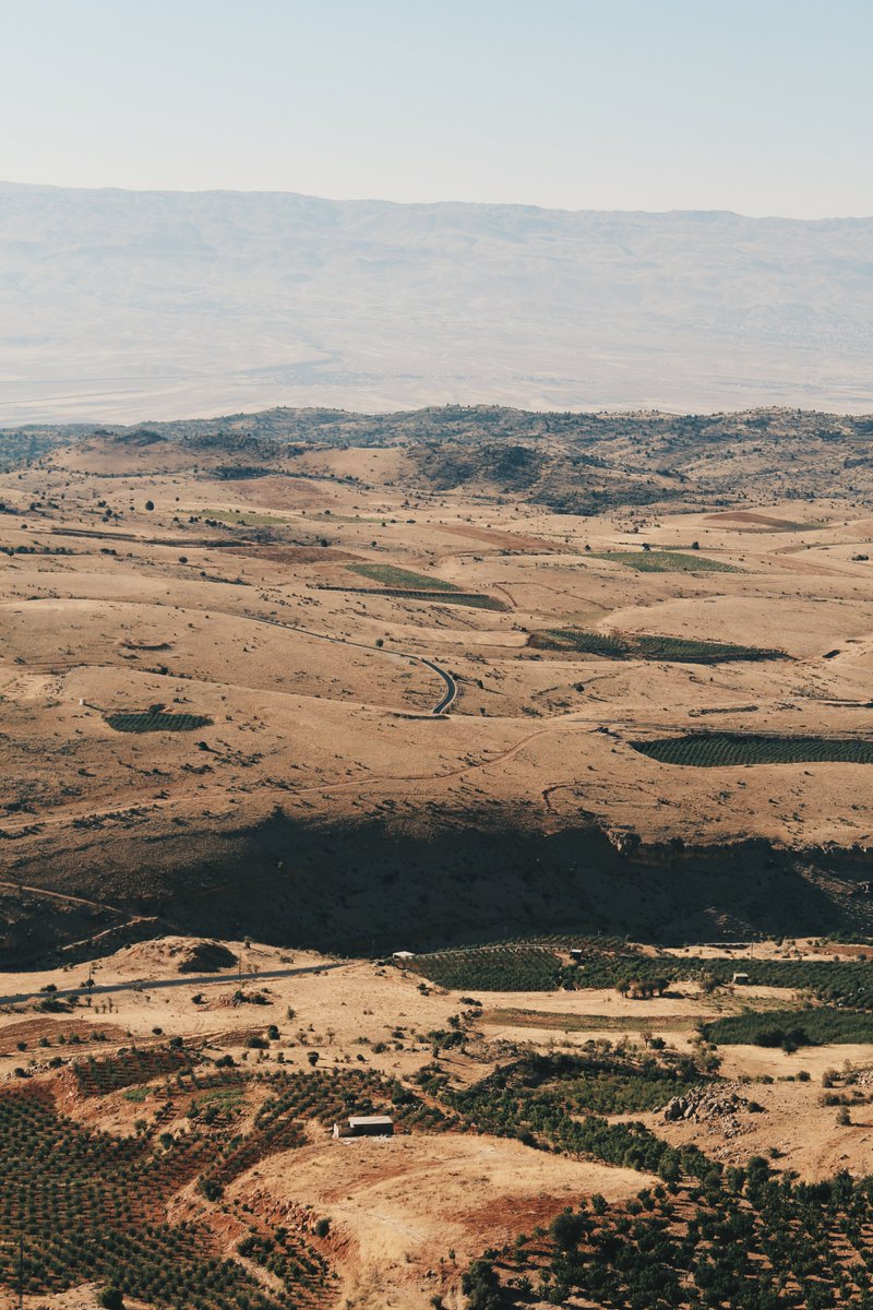 tariqsokkarie's tweet image. Damn.

My home country is hurting. For those of you that don't know, the flag that's been in my username for months is the Lebanese flag. It's where my family is originally from. It's where I was raised.

Sending best wishes to everyone affected by the explosion in Beirut 🇱🇧♥