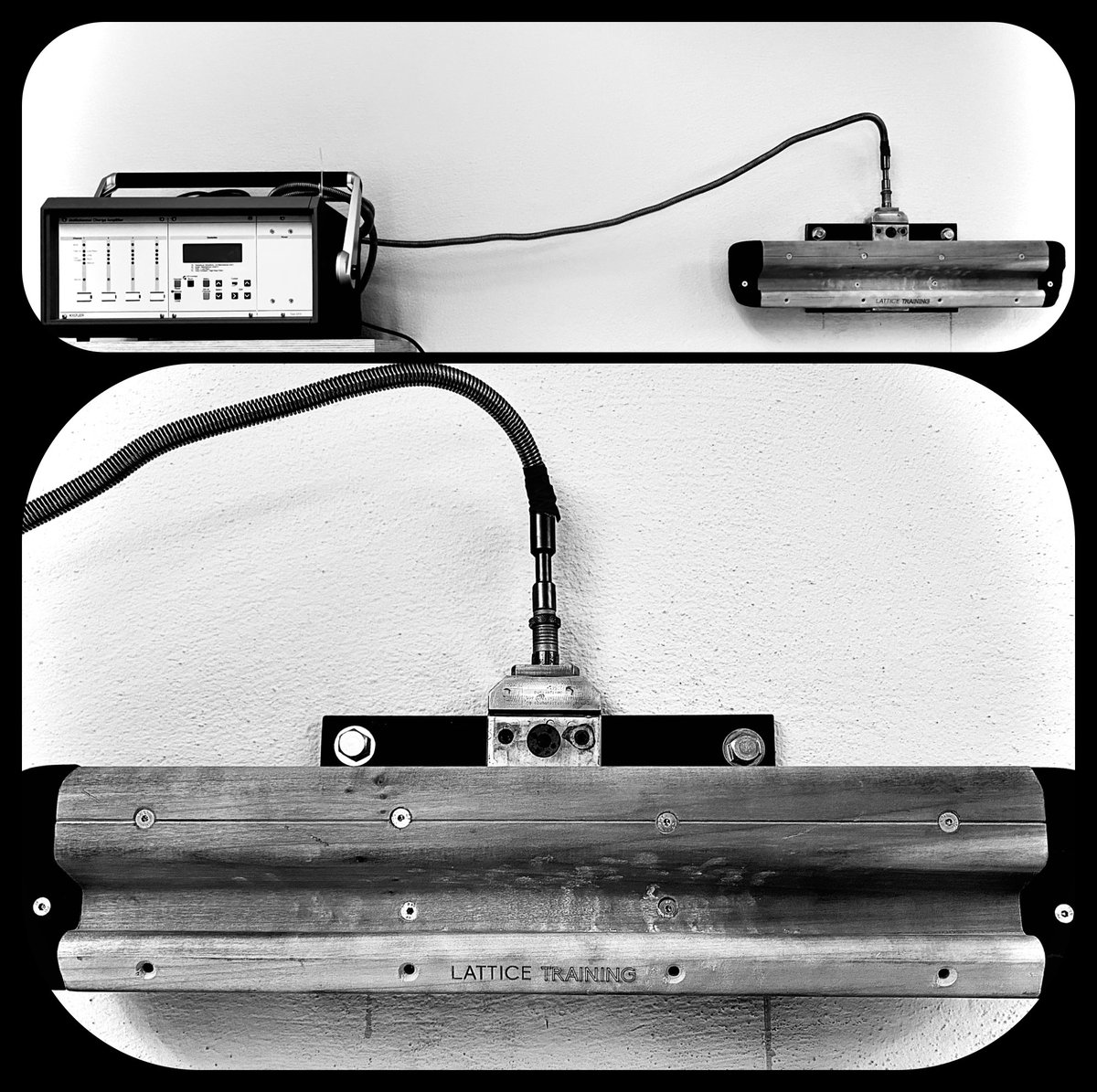 Laboratory for Environmental & Exercise Physiology tweet media