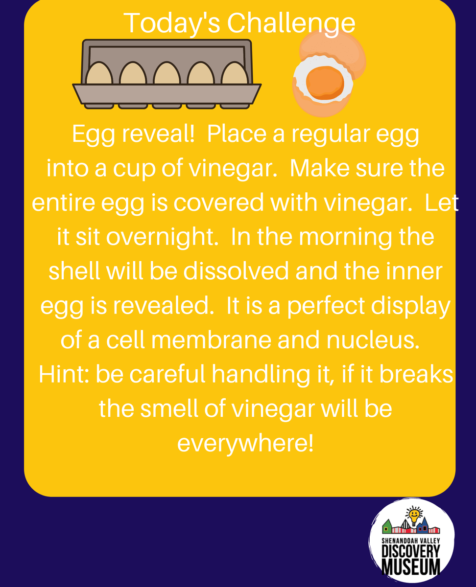 DiscoveryMuse's tweet image. #homeexperiments #museumsathome