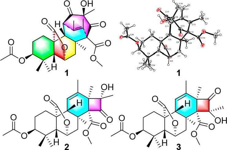 Three novel andrastin-type meroterpenoids, penicimeroterpenoids A–C were obtained from the marine-derived fungus Penicillium. New in #OL: buff.ly/3k8iH2O