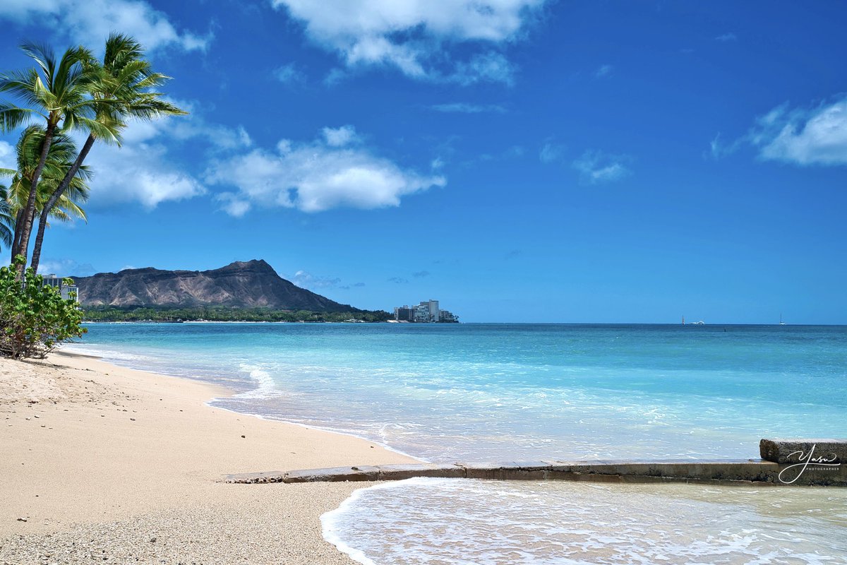 Hoihoi Hawaii Na Twitteru アロハ 海は広いな大きなぁ ヒャホーーzoomハワイ背景プレゼントやってます T Co Nnoie4wapv Hawaii Beach 海 空