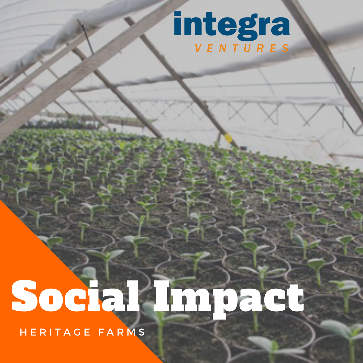 IntegraVenture's tweet photo. #socialimpact Heritage Farms hires Roma people to work their farms and is helping people to improve their homes and providing access to clean water and healthy food.

Learn more here: https://t.co/aWZU6bYhB3

#heritagefarms #invest #donor #BAM #businessasmission https://t.co/JqsvZSOdd3