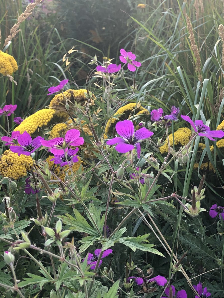 seyi_sandra's tweet photo. Stratford, London. #londonisbeautiful https://t.co/JnXwbSJ2iK