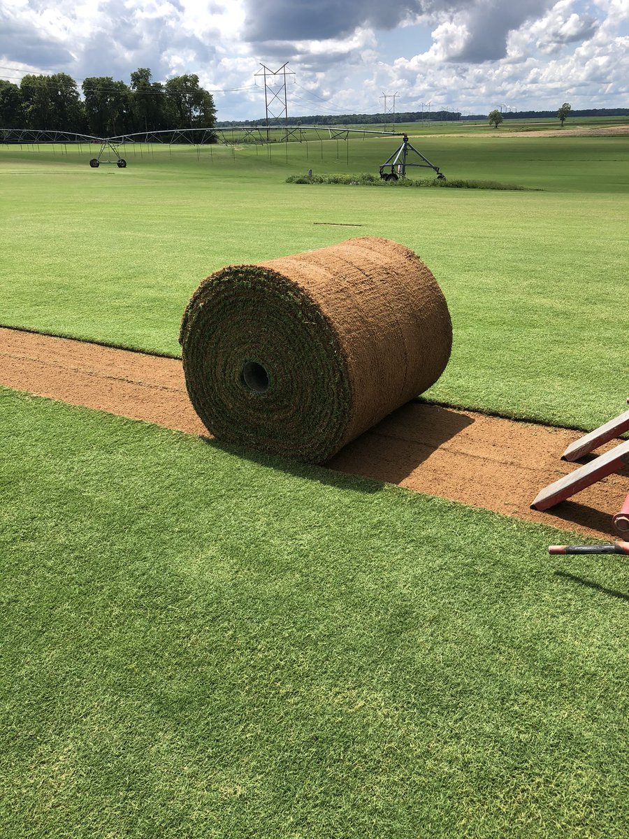 juniorneuf's tweet image. #Tahoma31 harvest for a golf course renovation near Bowling Green,KY. #Grassmasters Sod Farm #midwest #gmsod @sodproservices