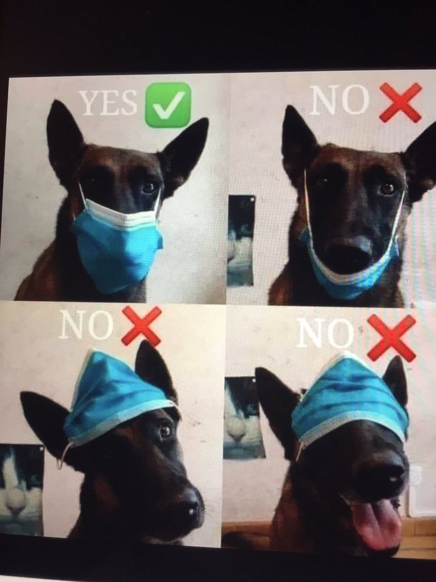 Wear a mask.  Wear it properly.