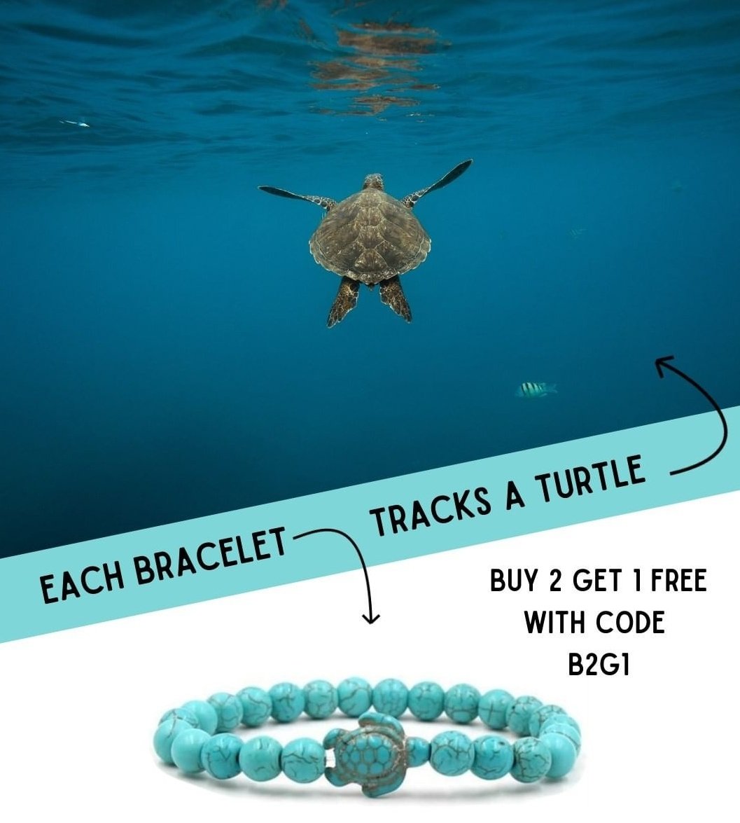 only1acg's tweet photo. Hey @Producer_Matt, do you have one of these? Surely a must for a turtle killer such as yourself. 3 for the price of 2... That's 3 easy to track turtles for the price of 2. Happy days! #turtlekiller https://t.co/aeIulSgAw7