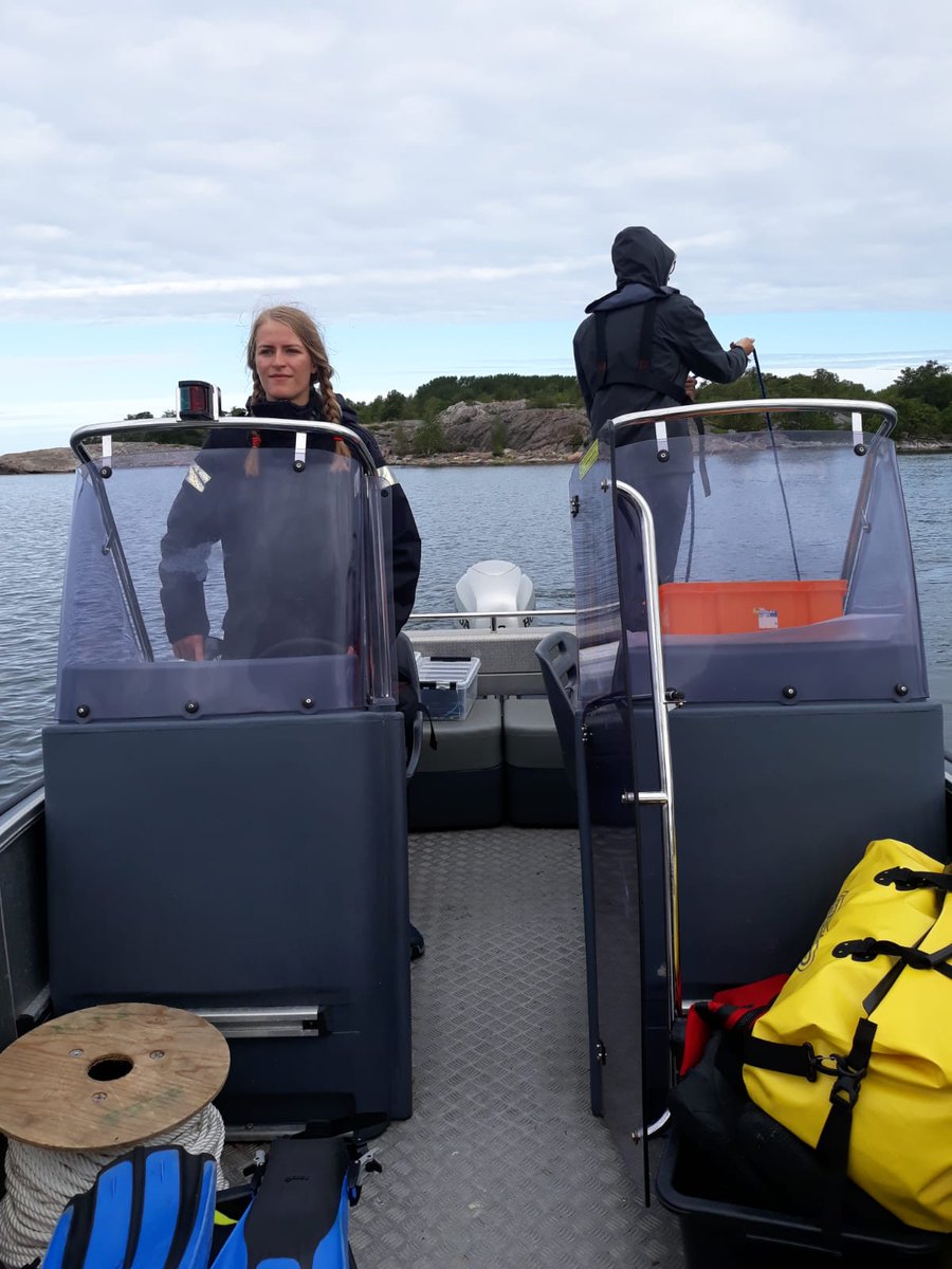 biodiversea_ax's tweet photo. Today we visited the southernmost parts of our study area in Brändö. We found some eelgrass (Zostera marina) in a nice sandy bay, but also lots of drifting algae accompanied by oxygen depleted areas
#marinemapping #itämeri #Ålandsmarinamiljöer #eelgrass https://t.co/bmGP5XIsBp