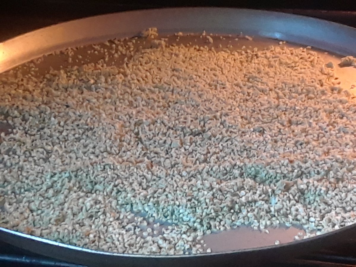 AtlWrika01's tweet photo. I ROASTED #HempSeeds
I GROUND #HempSeeds
I FLAVORED #HempSeeds
I HAVE #HempButter 😍

No idea why THIS PHASE of STEWARDSHIP over MY LIFE taken so long...I'm HERE NOW https://t.co/dGU7jXruv2