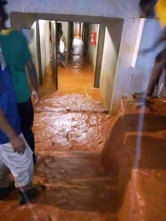 DankiesoM's tweet photo. The 1000 rooms Takalani Dzaga is talking about. How do they expect good results from students that goes through such traumatic situations 
#univenmustfall https://t.co/LjOP9IrCdt