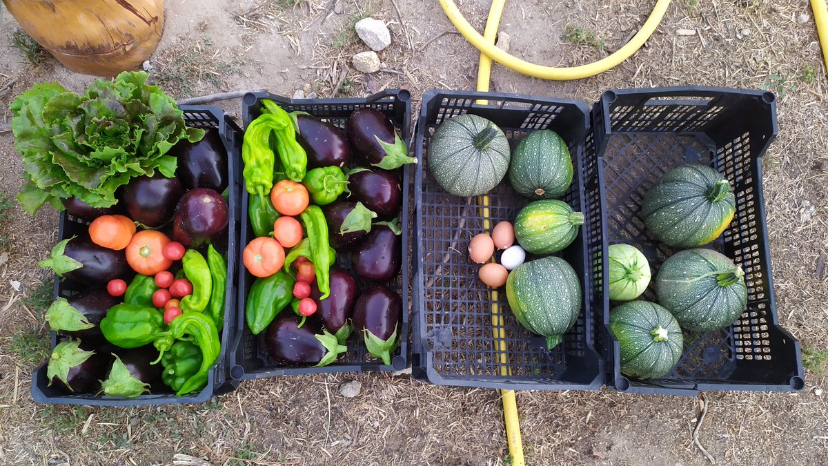 Luis Martínez tweet media