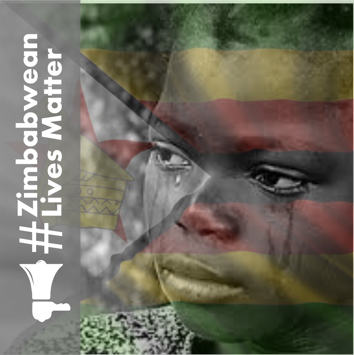 HonestyChironda's tweet photo. @KingBeenieMan #ZimbabweanLivesMatter https://t.co/xLQjC0PHpo
