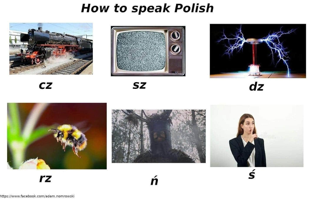 lisciasty_'s tweet photo. Field guide to Polish pronunciation https://t.co/t0kQl8aZL9