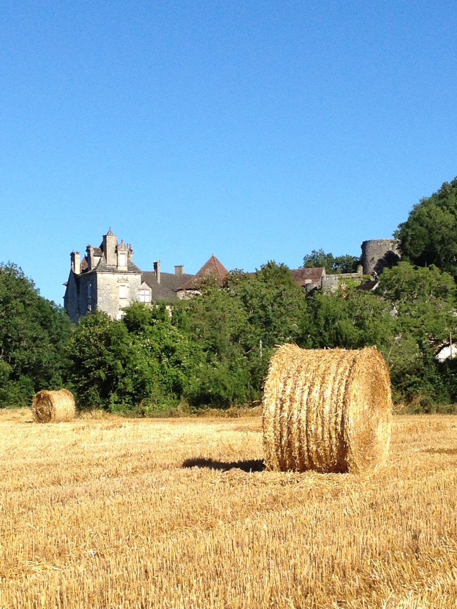 Bel été après les moissons pour alimenter le vieux four à pains