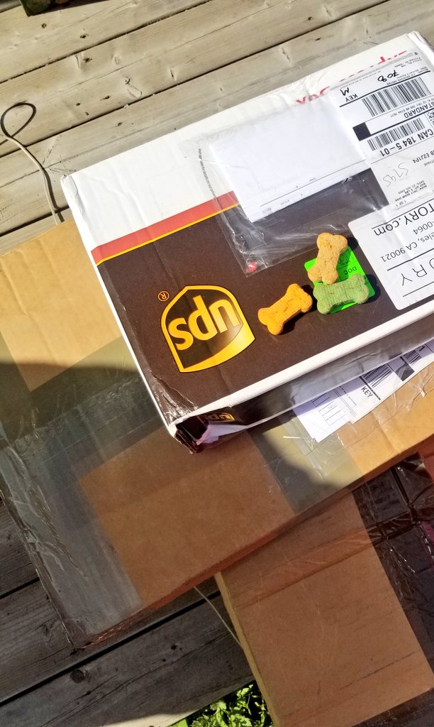 Dominique tweet media