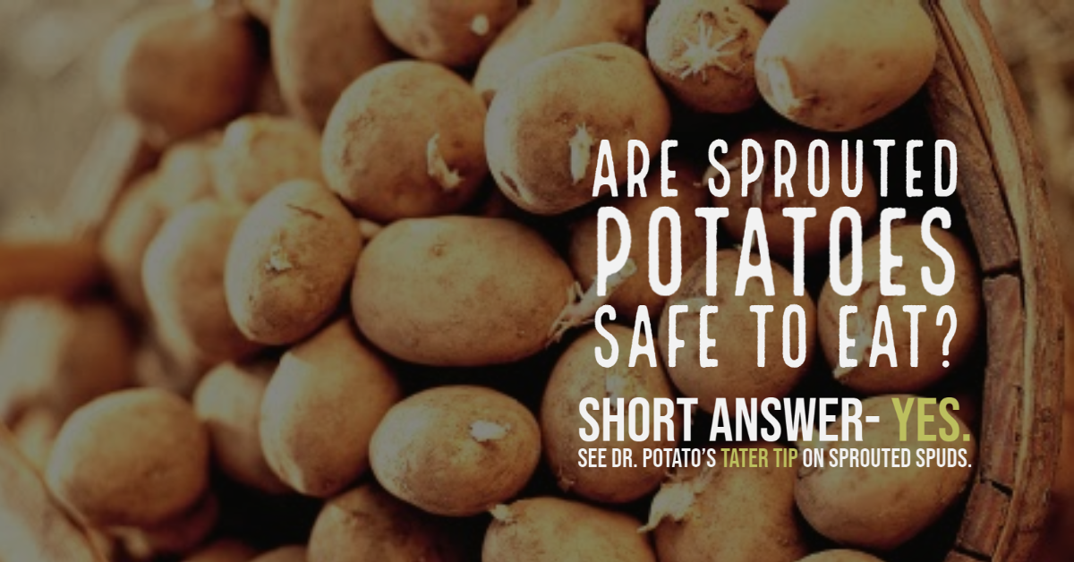 IdahoPotato's tweet photo. Oh no!! My potatoes have peepers! 👀🥔 See Dr. Potato's #TaterTip on safely eating sprouted potatoes. https://t.co/gPXTkOHkSq
#TaterTips #TaterTipTuesday #Potatoes #IdahoPotatoes #DrPotato #sproutedpotatoes #spudsprouting #spuds #potatopeepers https://t.co/LQ3gbjiVJu