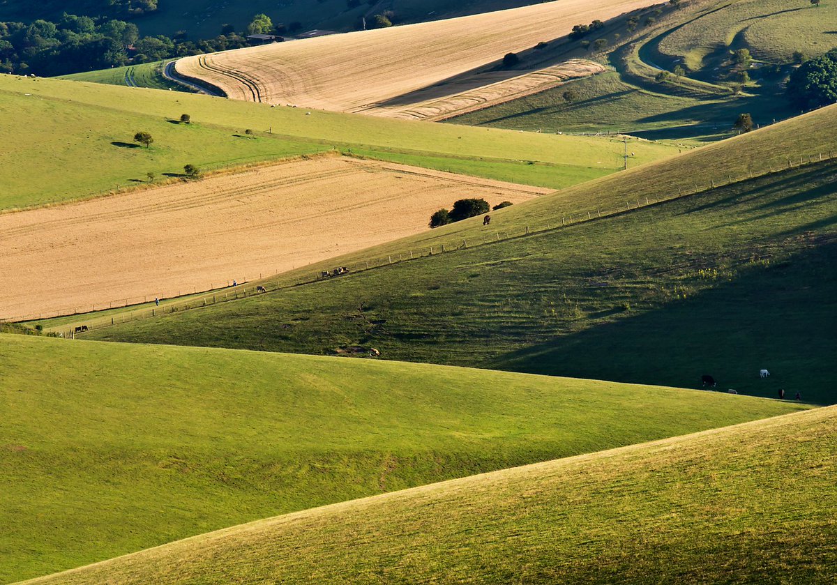 LewesCameraClub's tweet image. Stump Bottom by Julie Mills is the winner of our latest online summer competition. All the images can be seen at lewescameraclub.co.uk/open-pdi-compe…