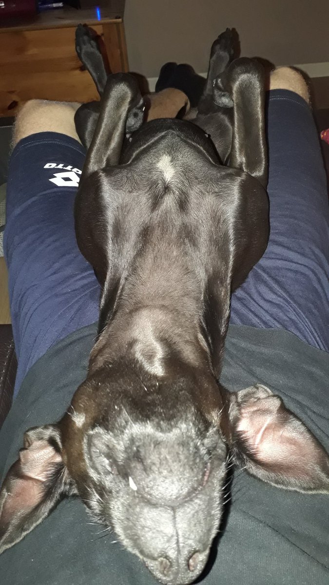Luca11202's tweet photo. #relacs 😴 https://t.co/p2srLBXkCG