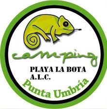 CD Punta Umbría 1968 tweet media
