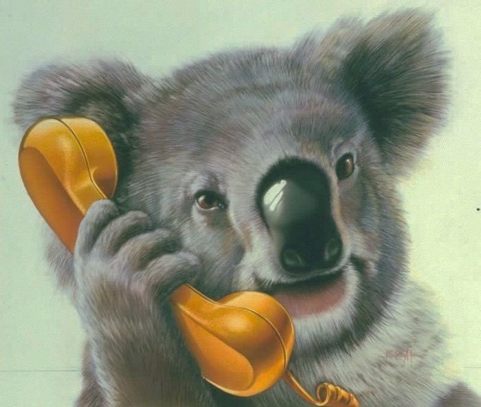 Next comes the phone calls. It’s well documented that The Zodiac (Koala) would call people and just breathe heavily. We know Koala’s don’t speak a language we can understand and are “mouth breathers” but they’re experts and dialing