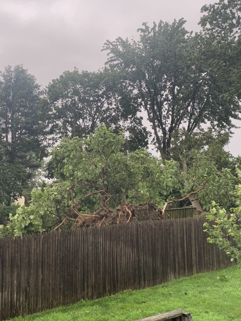 MsGoldsteinGeo's tweet photo. There’s no better way to celebrate the last class of the semester like a massive tree falling down on your WiFi line and losing connection in the middle of class #TropicalStormIsaias💨🌧 https://t.co/2mOA8hLw3j