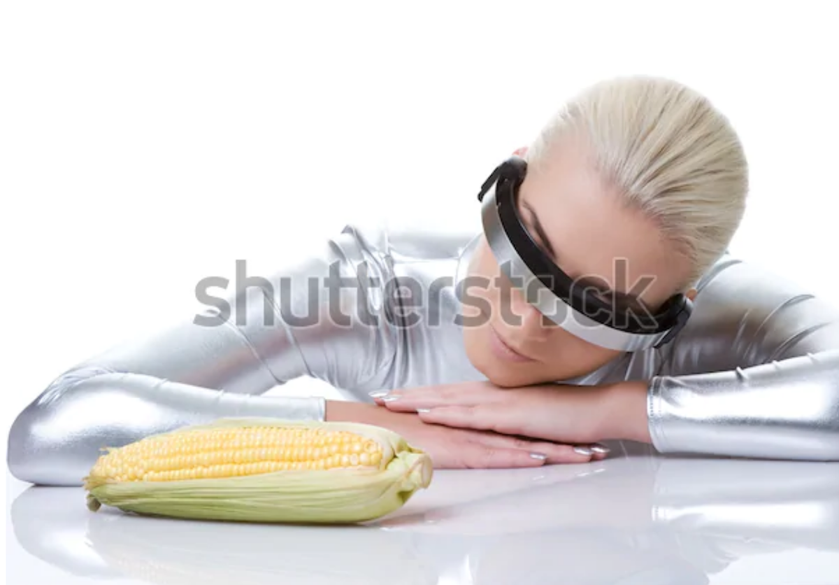 when all else fails just reply to conspiracy theorists with stock photos of cyber women and corn. the less sense it makes the better